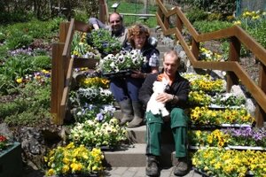 Blumen im Vogelpark