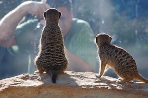 Fotowettbewerb im Vogelpark Herborn