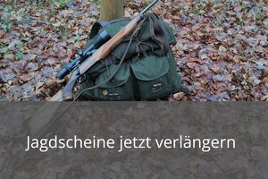 Bild eines Jagdrucksacks mit Gewehr auf Laubboden, Jagdscheine jetzt verlängern