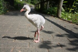 Vogel- und NaturschutzTierpark