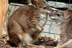 Vogelpark Saisoneröffnung