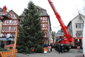 Weihnachtsbaum läutet Weihnachtszeit ein