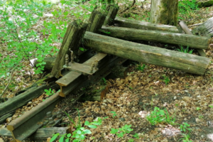 Abgebaute Bahngleise und Bahnschwellen im Wald.