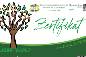 Bespielbild eines Zertifikats des Zukunftswald in Herborn