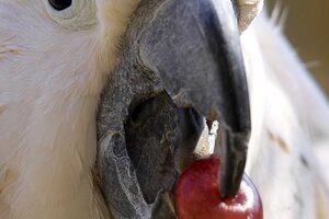 Erfolgreiche Saisoneröffnung des Vogelpark Herborn