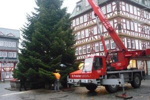 Weihnachtsbaum 2009