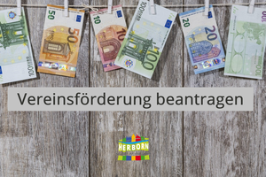 Beispielbild Vereinsförderung, Geld an einer Wäscheleine