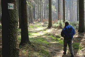 Wanderer auf dem Westerwaldsteig