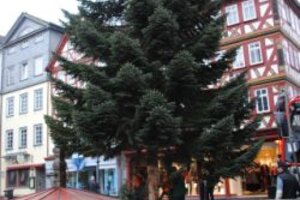 Weihnachtsbaum Marktplatz