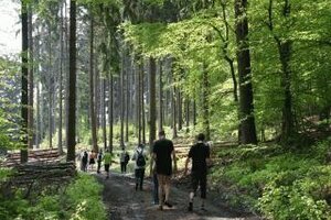 1 Jahr Westerwaldsteig