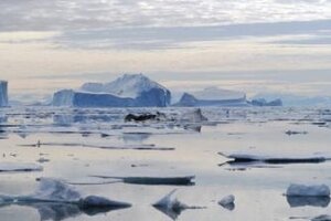 Northeast Greenland Icebergs © Christopher Howey - Fotolia.com