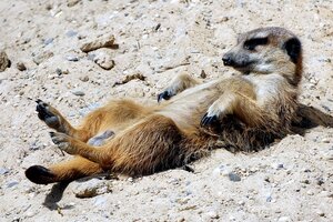 Saisonstart Vogelpark 