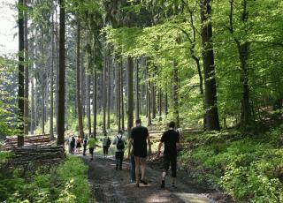 1 Jahr Westerwaldsteig