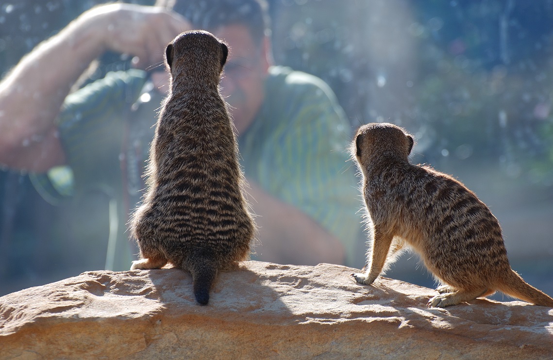 Fotowettbewerb im Vogelpark Herborn