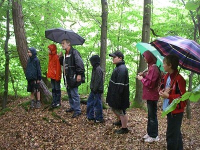 Kinder im Wald