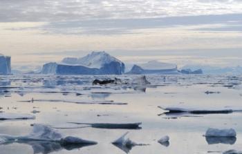 Northeast Greenland Icebergs © Christopher Howey - Fotolia.com