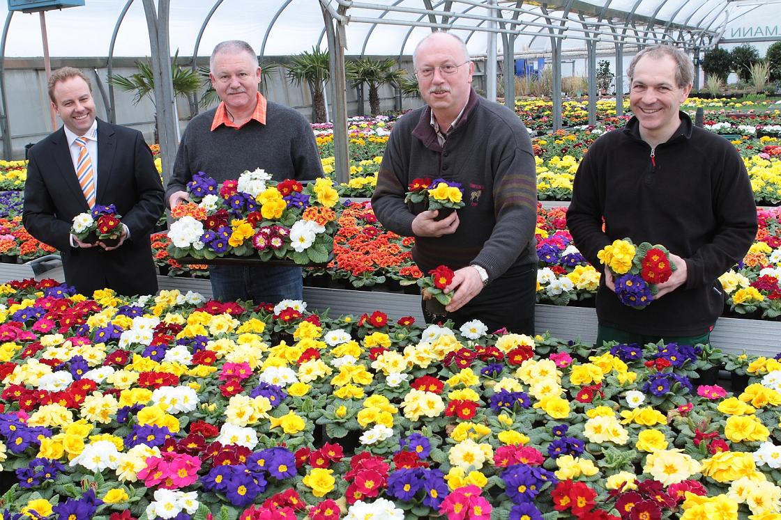 Frühling in Herborn