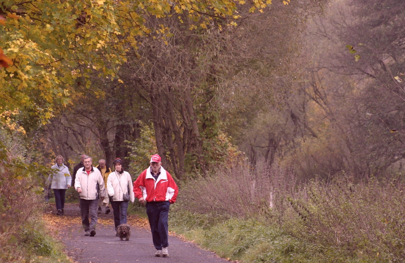 Wandern rund um Burg