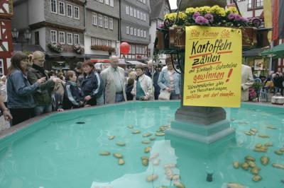 Kartoffeln im Brunnen