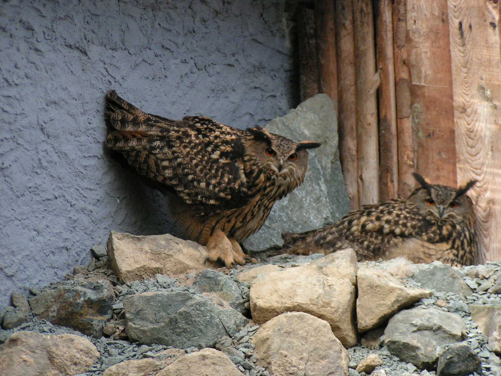 Jahreskartenverkauf Vogelpark