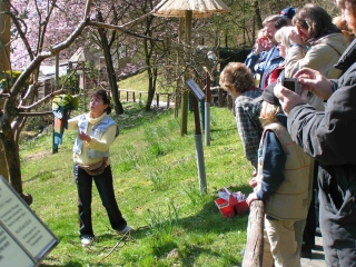 Kindergeburtstag im Vogelpark