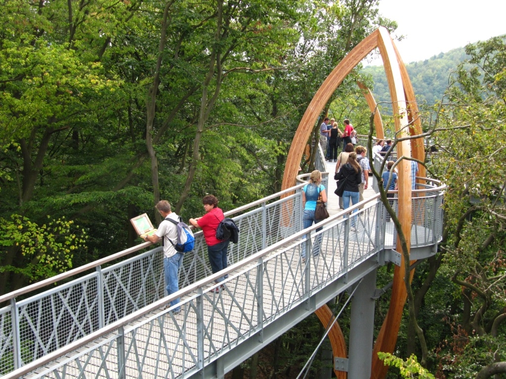 Mit dem Ranger durch den Kellerwald