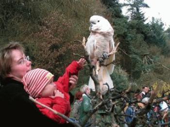 Vogelpark Coco