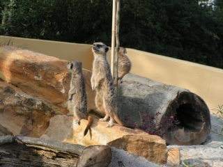 Vogelpark