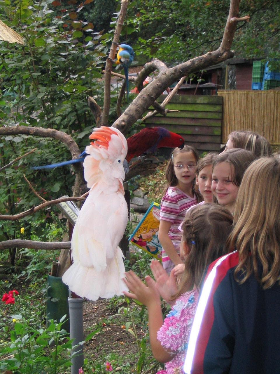 Vogelpark Jahreskarten 2011