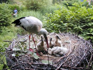 Vogelpark