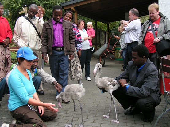 Vogelpark, Uckersdorf, Tierpark, Tiere