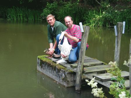 Schwan im Wildgehege