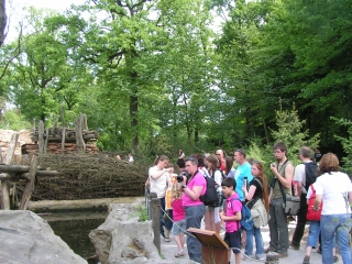 Vogelpark