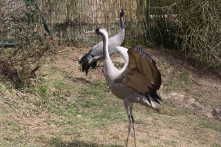 Vogelpark