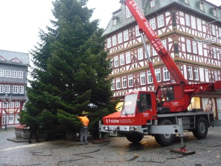 Weihnachtsbaum 2009