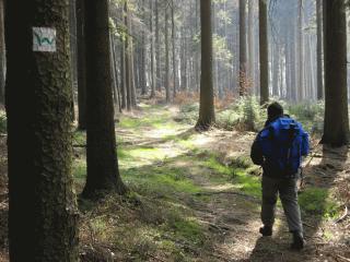 Wanderer auf dem Westerwaldsteig