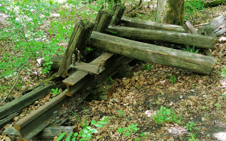 Abgebaute Bahngleise und Bahnschwellen im Wald.